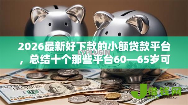 2026最新好下款的小额贷款平台，总结十个那些平台60—65岁可以借钱！
