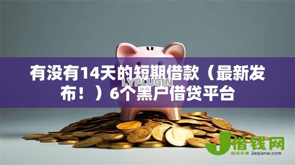 有没有14天的短期借款（最新发布！）6个黑户借贷平台