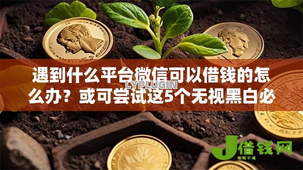 遇到什么平台微信可以借钱的怎么办?或可尝试这5个无视黑白必下款的网贷平台 遇到什么平台微信可以借钱的怎么办?或可尝试这5个无视黑白必下款的网贷平台