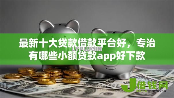 最新十大贷款借款平台好，专治有哪些小额贷款app好下款
