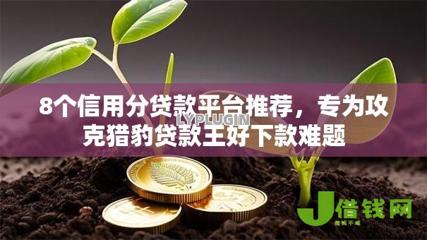8个信用分贷款平台推荐,专为攻克猎豹贷款王好下款难题 8个信用分贷款平台推荐,专为攻克猎豹贷款王好下款难题
