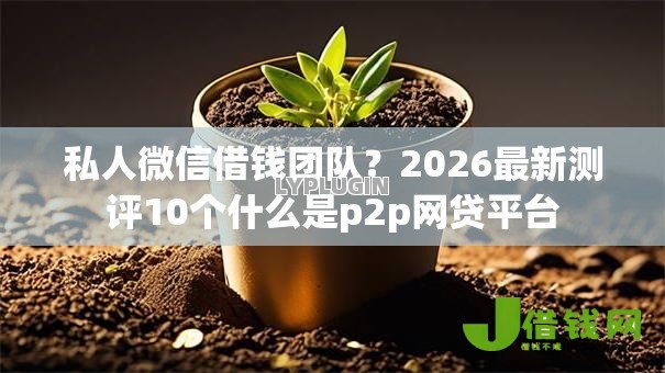私人微信借钱团队？2026最新测评10个什么是p2p网贷平台