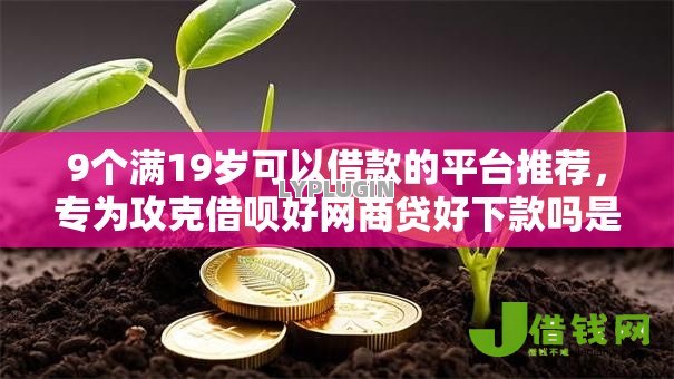 9个满19岁可以借款的平台推荐，专为攻克借呗好网商贷好下款吗是真的吗难题