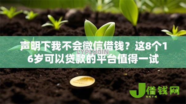 声明下我不会微信借钱?这8个16岁可以贷款的平台值得一试 声明下我不会微信借钱?这8个16岁可以贷款的平台值得一试