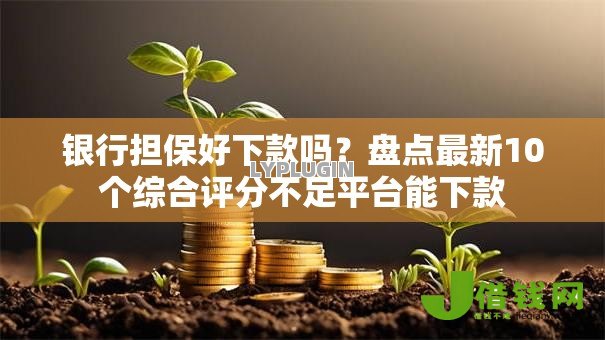 银行担保好下款吗？盘点最新10个综合评分不足平台能下款