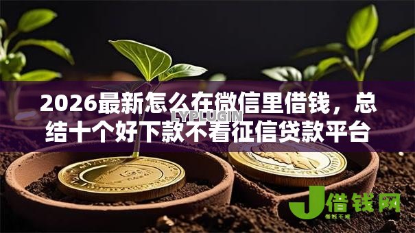2026最新怎么在微信里借钱，总结十个好下款不看征信贷款平台！