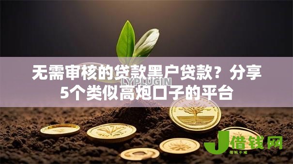 无需审核的贷款黑户贷款？分享5个类似高炮口子的平台