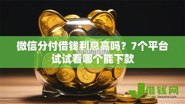 微信分付借钱利息高吗？7个平台试试看哪个能下款