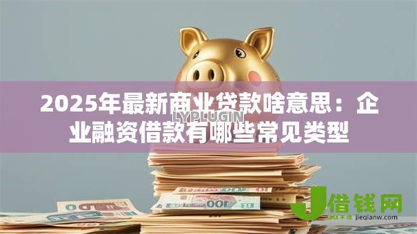 2025年最新商业贷款啥意思：企业融资借款有哪些常见类型