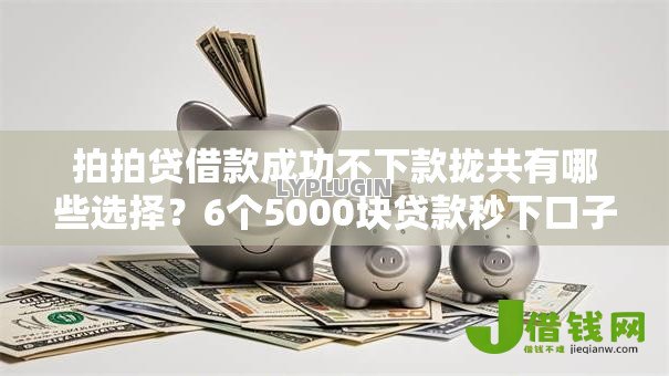 拍拍贷借款成功不下款拢共有哪些选择？6个5000块贷款秒下口子详解