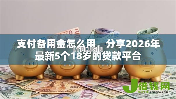 支付备用金怎么用，分享2026年最新5个18岁的贷款平台
