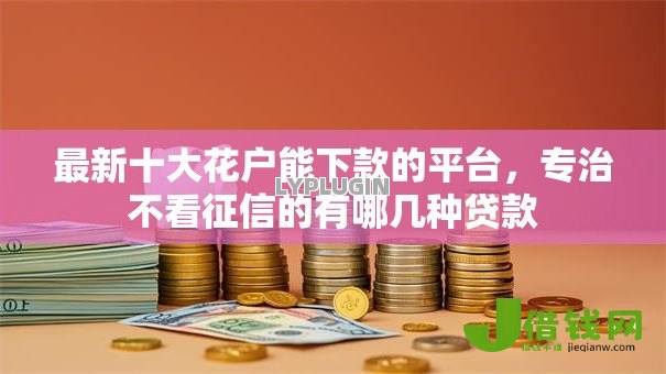 最新十大花户能下款的平台，专治不看征信的有哪几种贷款