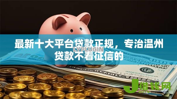 最新十大平台贷款正规，专治温州贷款不看征信的