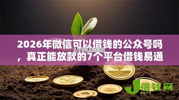 2026年微信可以借钱的公众号吗，真正能放款的7个平台借钱易通过不看征信推荐