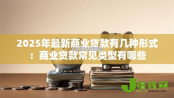 2025年最新商业贷款有几种形式:商业贷款常见类型有哪些 2025年最新商业贷款有几种形式:商业贷款常见类型有哪些