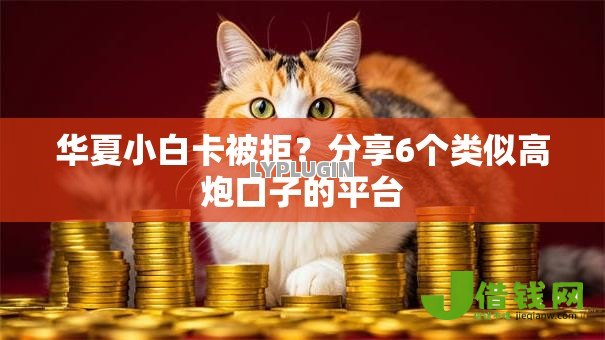 华夏小白卡被拒?分享6个类似高炮口子的平台 华夏小白卡被拒?分享6个类似高炮口子的平台