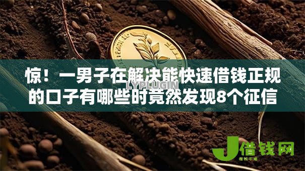 惊！一男子在解决能快速借钱正规的口子有哪些时竟然发现8个征信查询多能下款的平台，事后分享了出来