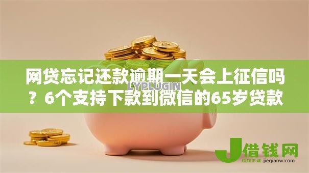 网贷忘记还款逾期一天会上征信吗？6个支持下款到微信的65岁贷款平台