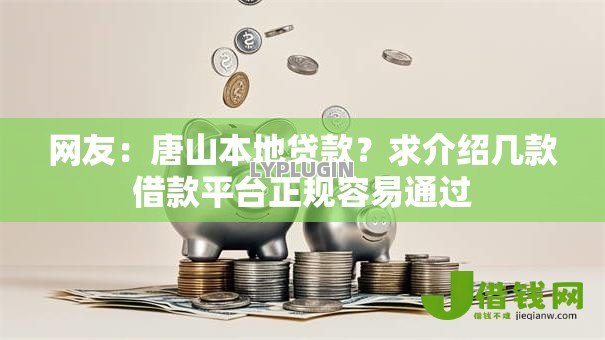 网友：唐山本地贷款？求介绍几款借款平台正规容易通过