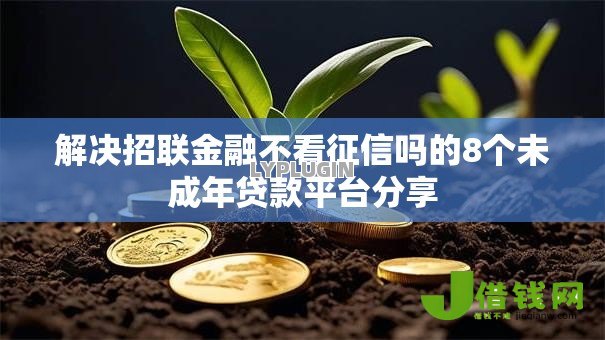 解决招联金融不看征信吗的8个未成年贷款平台分享