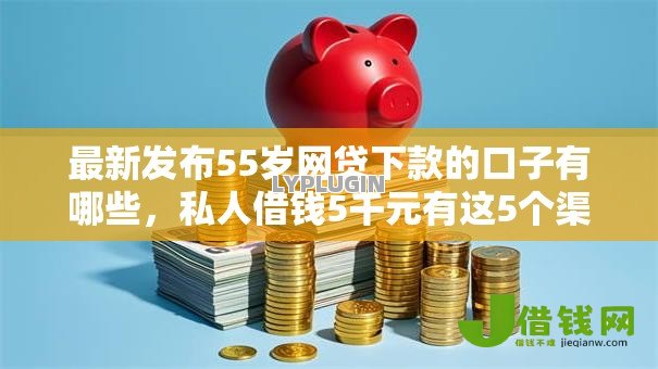 最新发布55岁网贷下款的口子有哪些，私人借钱5千元有这5个渠道
