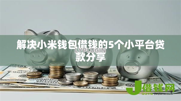 解决小米钱包借钱的5个小平台贷款分享