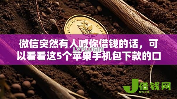 微信突然有人喊你借钱的话,可以看看这5个苹果手机包下款的口子 微信突然有人喊你借钱的话,可以看看这5个苹果手机包下款的口子