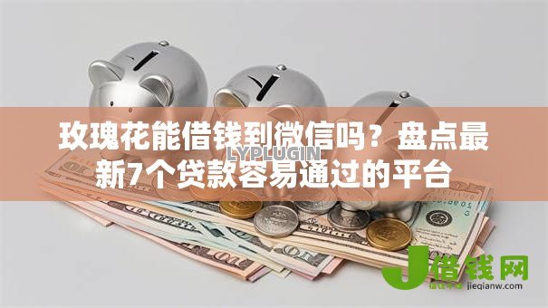 玫瑰花能借钱到微信吗？盘点最新7个贷款容易通过的平台