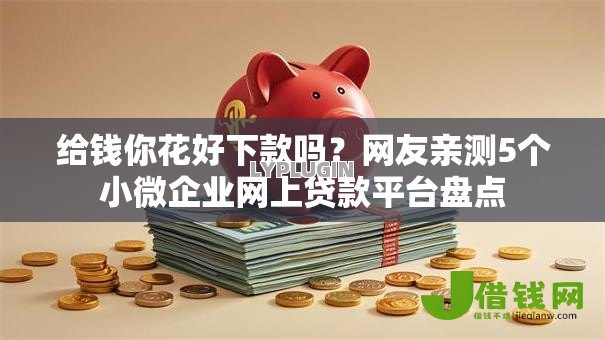 给钱你花好下款吗？网友亲测5个小微企业网上贷款平台盘点