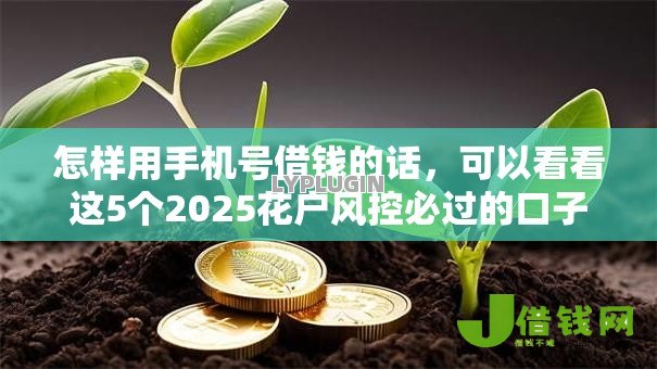 怎样用手机号借钱的话，可以看看这5个2025花户风控必过的口子论坛