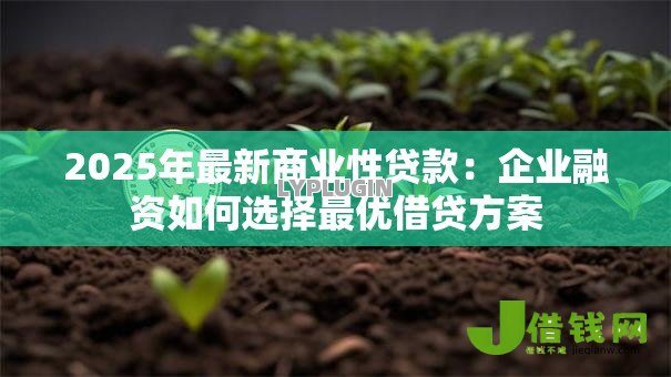 2025年最新商业性贷款：企业融资如何选择最优借贷方案