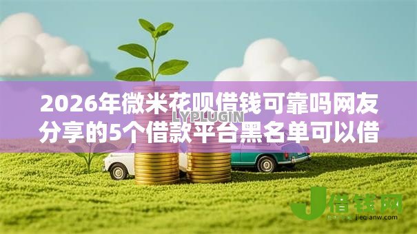 2026年微米花呗借钱可靠吗网友分享的5个借款平台黑名单可以借钱我觉得不错！