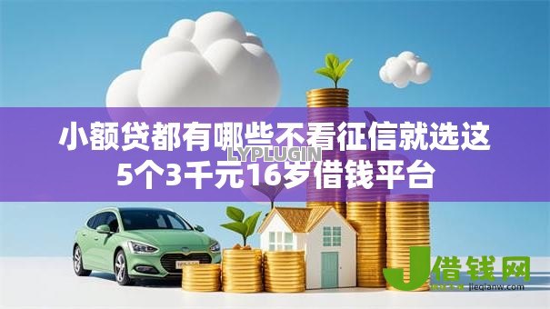 小额贷都有哪些不看征信就选这5个3千元16岁借钱平台