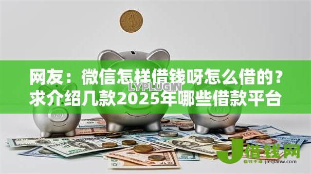 网友：微信怎样借钱呀怎么借的？求介绍几款2025年哪些借款平台不查征信大数据