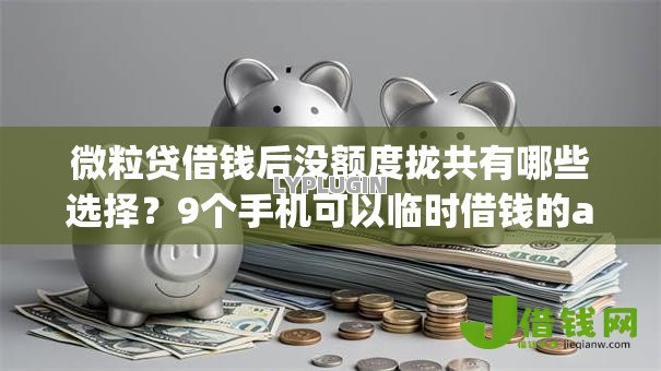 微粒贷借钱后没额度拢共有哪些选择？9个手机可以临时借钱的app详解
