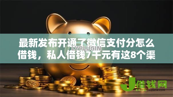 最新发布开通了微信支付分怎么借钱，私人借钱7千元有这8个渠道