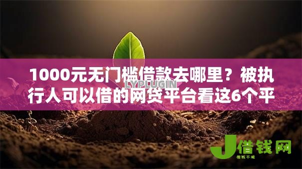 1000元无门槛借款去哪里?被执行人可以借的网贷平台看这6个平台 1000元无门槛借款去哪里?被执行人可以借的网贷平台看这6个平台