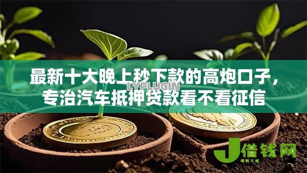 最新十大晚上秒下款的高炮口子，专治汽车抵押贷款看不看征信