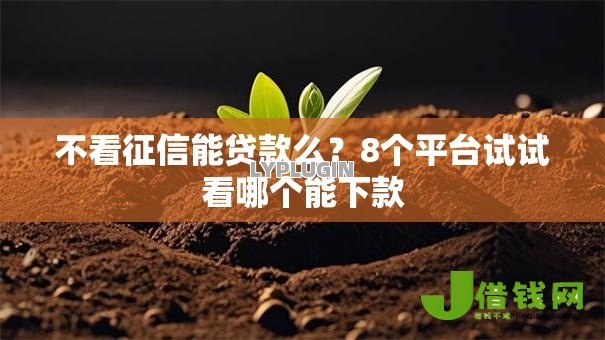不看征信能贷款么?8个平台试试看哪个能下款 不看征信能贷款么?8个平台试试看哪个能下款