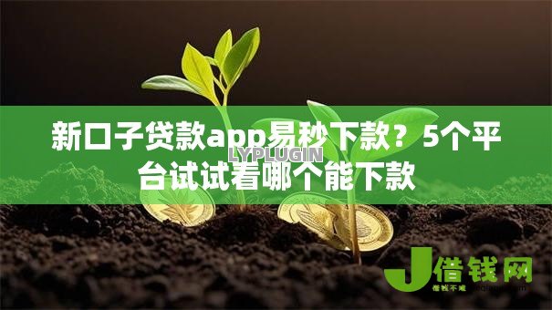 新口子贷款app易秒下款？5个平台试试看哪个能下款