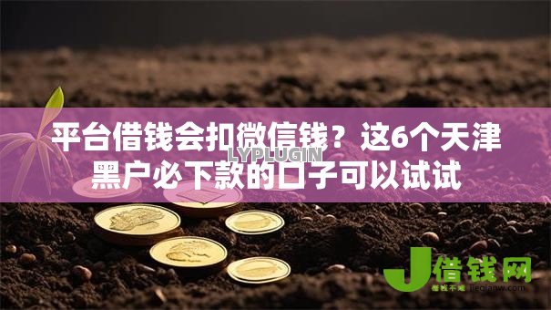 平台借钱会扣微信钱？这6个天津黑户必下款的口子可以试试