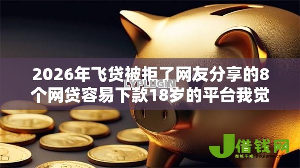 2026年飞贷被拒了网友分享的8个网贷容易下款18岁的平台我觉得不错！