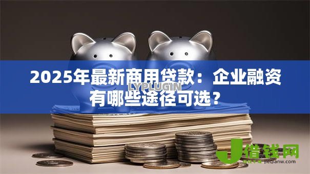 2025年最新商用贷款:企业融资有哪些途径可选? 2025年最新商用贷款:企业融资有哪些途径可选?