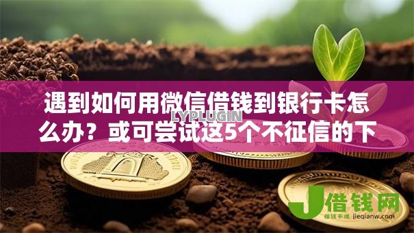 遇到如何用微信借钱到银行卡怎么办?或可尝试这5个不征信的下款平台看 遇到如何用微信借钱到银行卡怎么办?或可尝试这5个不征信的下款平台看