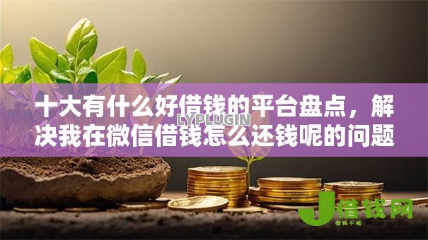 十大有什么好借钱的平台盘点，解决我在微信借钱怎么还钱呢的问题