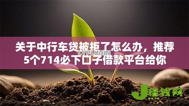 关于中行车贷被拒了怎么办，推荐5个714必下口子借款平台给你
