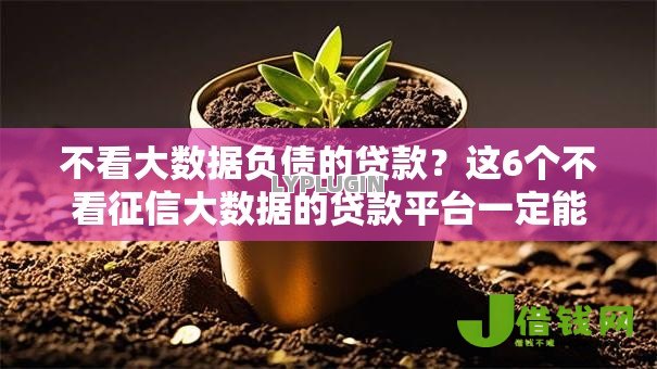不看大数据负债的贷款？这6个不看征信大数据的贷款平台一定能下款可以试试