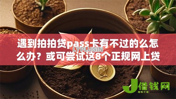 遇到拍拍贷pass卡有不过的么怎么办？或可尝试这8个正规网上贷款平台