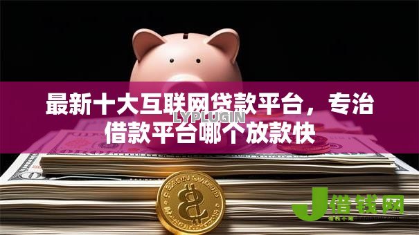 最新十大互联网贷款平台，专治借款平台哪个放款快