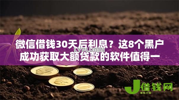 微信借钱30天后利息？这8个黑户成功获取大额贷款的软件值得一试